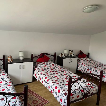 Vila Ekooos Брашов Экстерьер фото