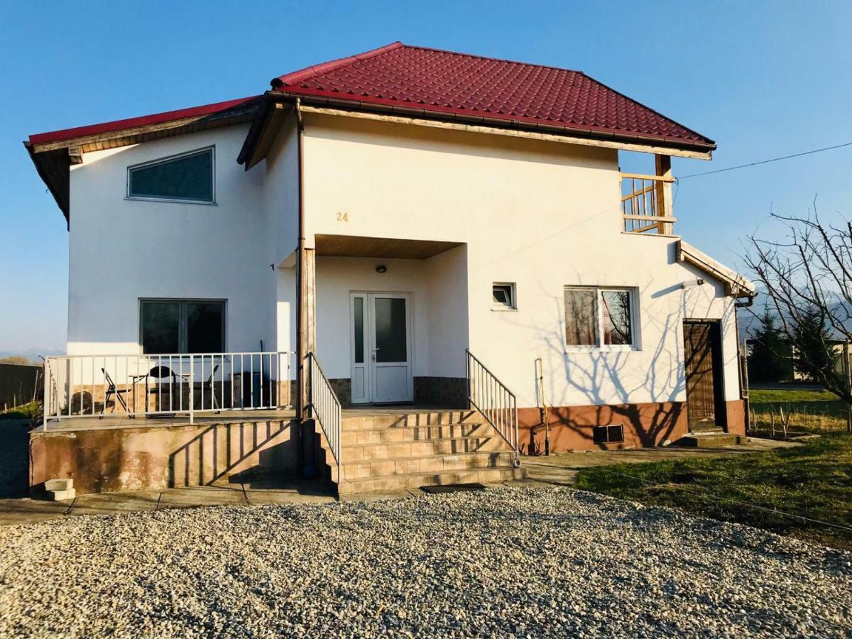 Vila Ekooos Брашов Экстерьер фото