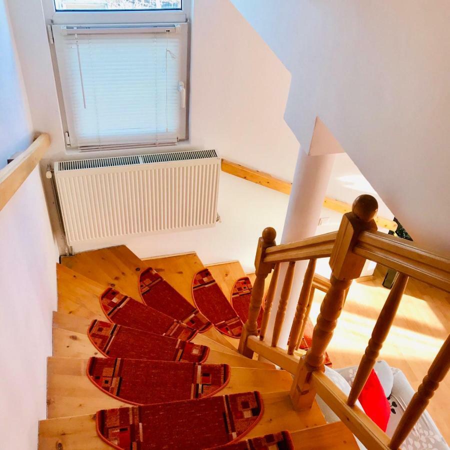 Vila Ekooos Брашов Экстерьер фото