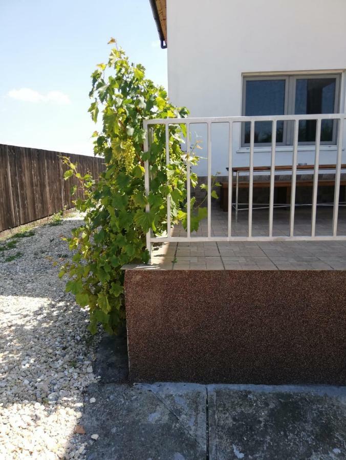 Vila Ekooos Брашов Экстерьер фото