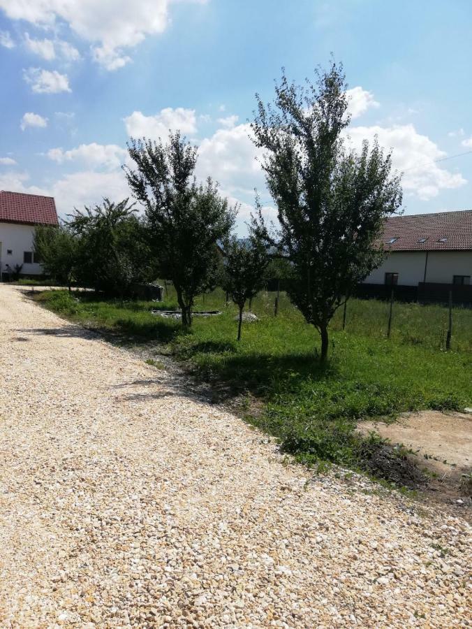 Vila Ekooos Брашов Экстерьер фото
